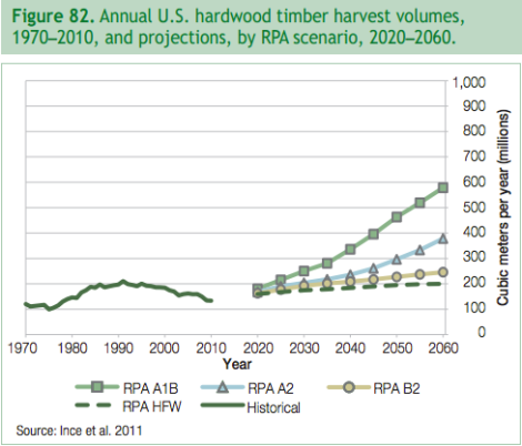 timber harvest