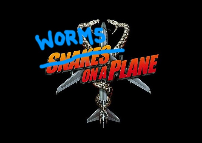 worms_plane