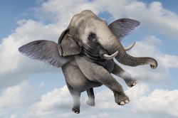 flying-elephant-sky
