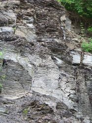 The eponymous Marcellus shale outcropping