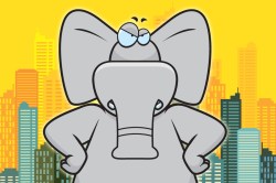 elephant-and-the-city