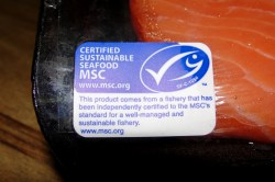 MSC fish label