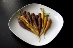 carrot-plate