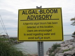 A sign last year warned of poisonous algae in Sandusky Bay, part of Lake Erie.