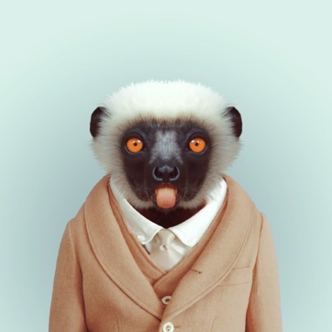 yago_partal_lemur