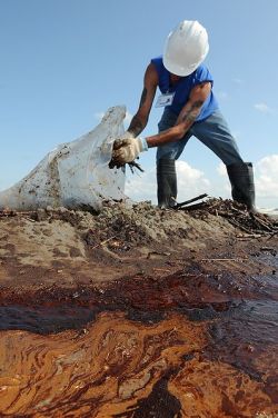 A  contractor cleans up oily waste on Elmer's Island, just west of Grand Isle, La., May 21, 2010.