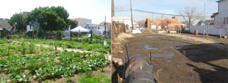 Left: The garden in full bloom in 2009. Right: Cleared out after Hurricane Sandy, January, 2013. 