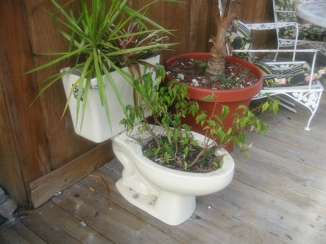 toilet_planter