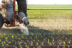 corn-crop-tractor-fertilizer-pesticide