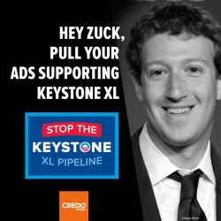 The ad that Facebook banned.