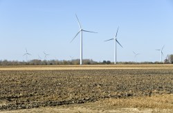 Wind turbines in Ontario, where a Canuck conspiracy to discriminate against Japanese and Europeans was foiled by world trade rules.