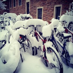 May snow in Boulder, Colo.