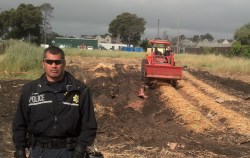A tractor was used Monday to destroy the unauthorized farm plantation.
