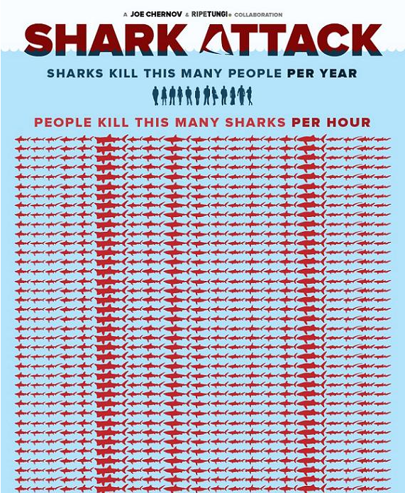 shark_infographic_1