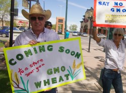 Monsanto protest GMO wheat