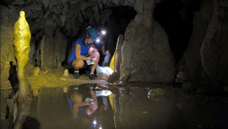 Stacy Carolin collects samples in a Borneo cave last fall.