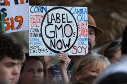 "Label GMOs Now" sign