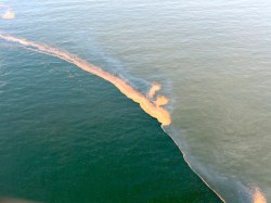 Taylor Energy's unchecked oil slick.