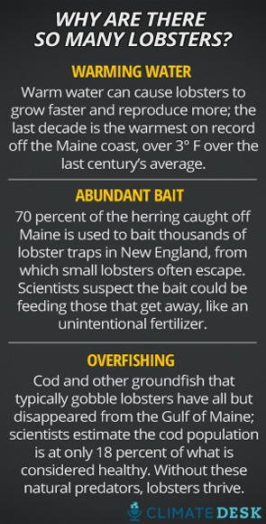 lobster-boom-infographic-MJ