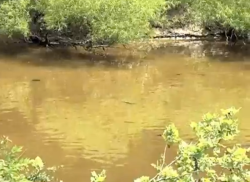 Chickasawhay River oil spill