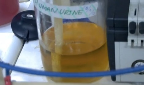 urine copy