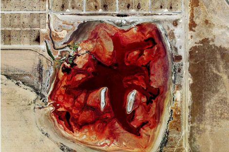 A waste lagoon at Coronado Feeders, Dalhart, Texas