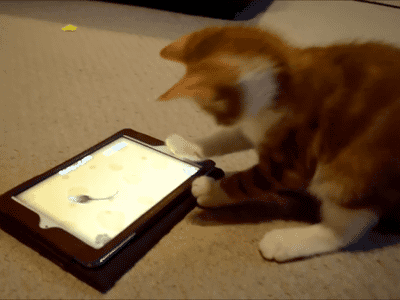cat-mouse-tablet-pounce