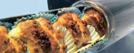 gosun-solar-oven-muffins