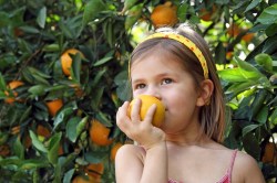 Girl in an orange grove