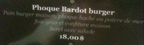 phoque_bardot