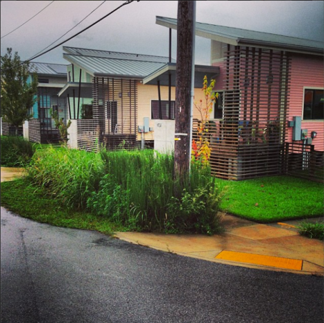 Rainwater garden, Lower Ninth Ward, New Orleans