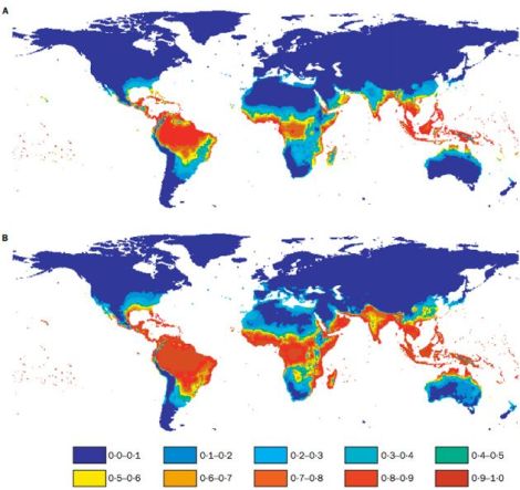 Estimated population at risk for dengue fever in 1990 (A) and 2085 (B) based on climate data from 1961 to 1990. Click to embiggen.