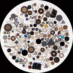 Diatoms, tiny phytoplankton that hold clues to the climate of the past.
