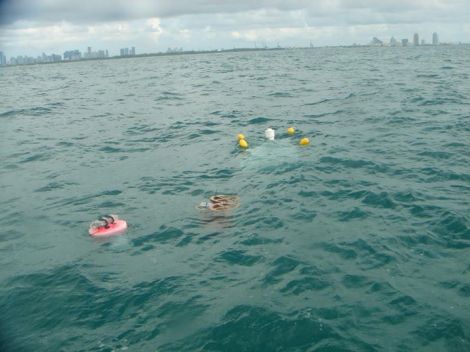 A comparative drift experiment in Biscayne Bay.