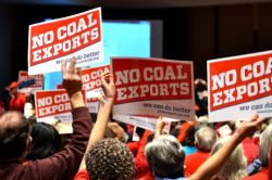 Coal export hearing5