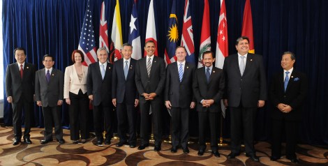 Why are these leaders of Pacific trade group nations (gathered in 2010) all smiling?