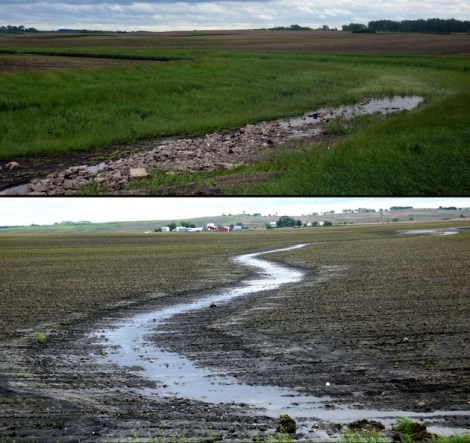A tale of two fields: On one side of the road, a gully cuts through an unprotected field (bottom photo). On the other side (top) a grass waterway stops the gully, but is filled with rocks and mud from the other side.