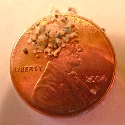 Microbeads on penny.