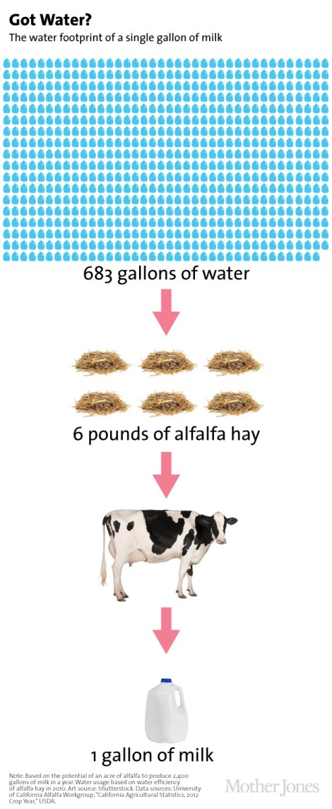 Dairy-Flow-Chart_0.jpg