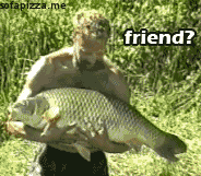 fish-friend-hug-noooo