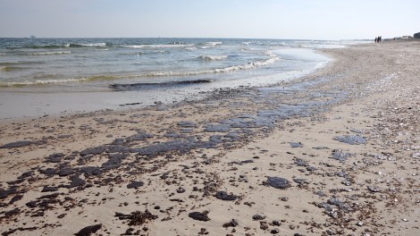 an oil-spattered Gulf Coast