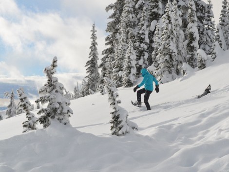 Interior Secretary Sally Jewell has faced an uphill battle in Washington as she tries to implement her ambitious agenda. In February, she went snowshoeing on Mount Rainier to see firsthand the effects of climate change.