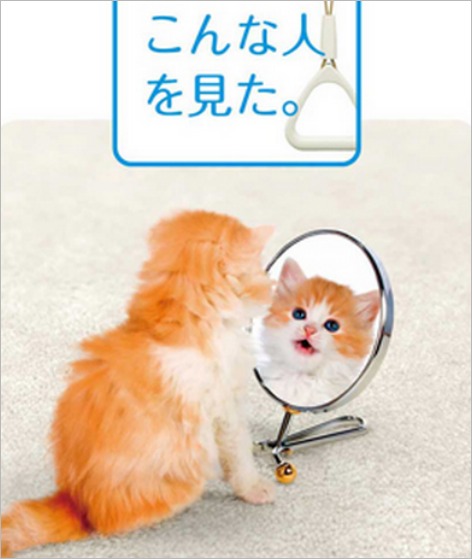 tokyo-subway-poster-cat-selfie