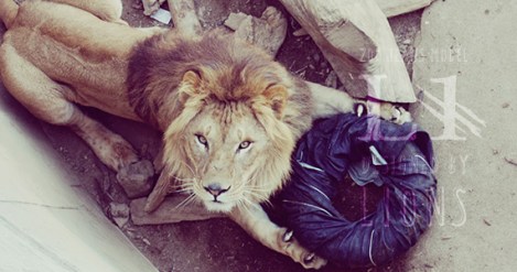lion_jeans