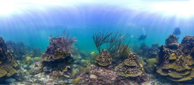 Florida Keys MPA reef