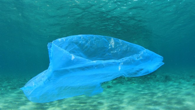 ocean plastic bag