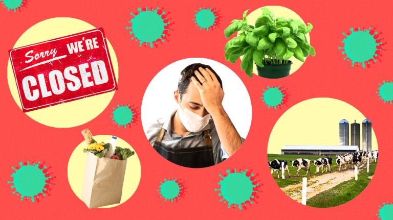 Stylized collage of food items and face masks