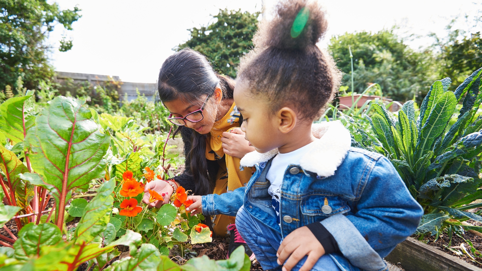 Community gardens contribute to healthy living.
