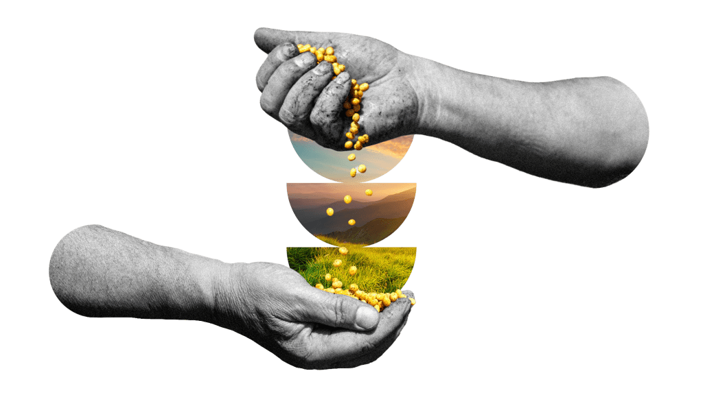 Artistic rendering of hands holding seeds