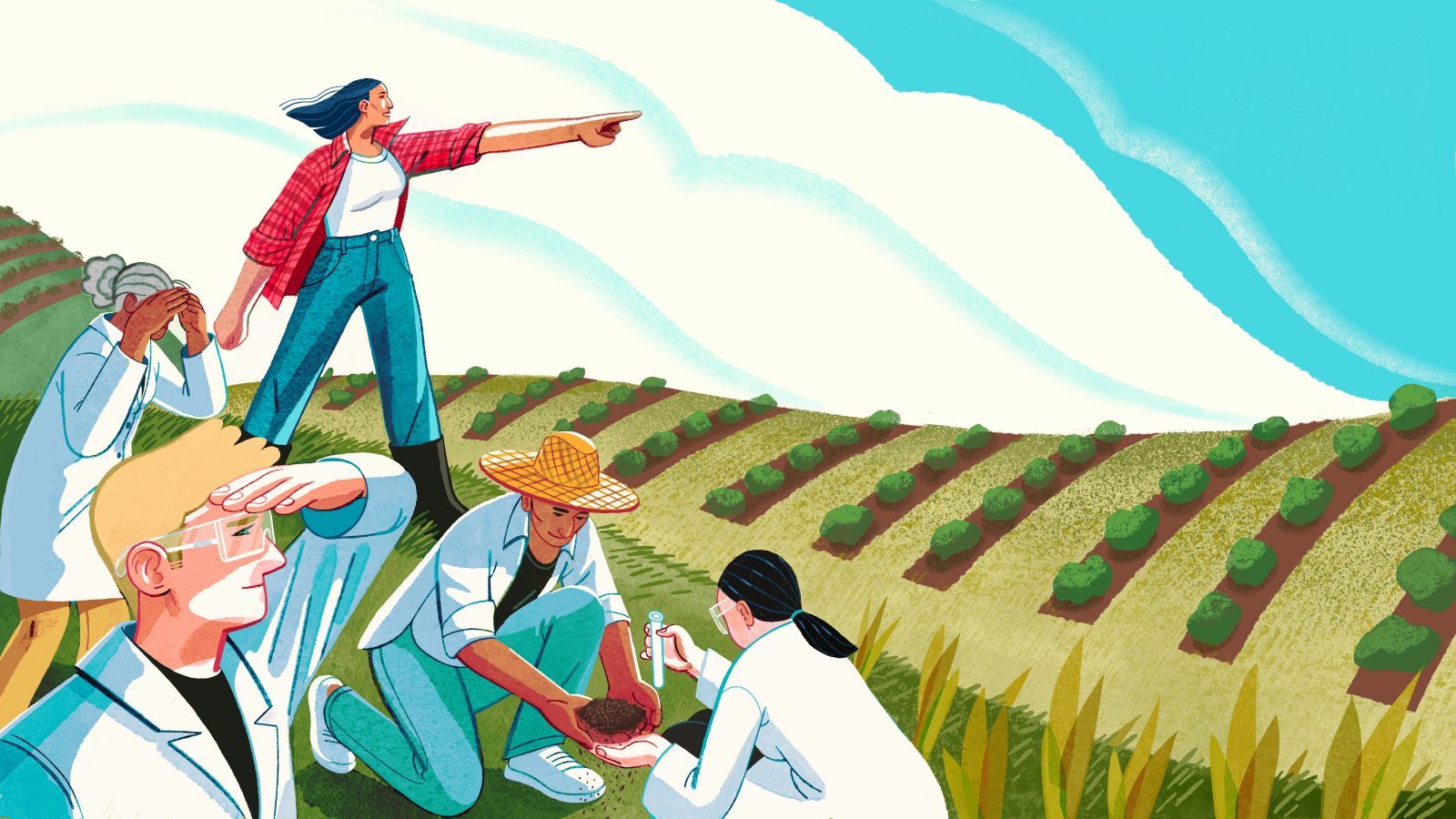Illustration of researchers and farmers